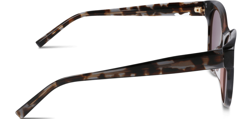 DK533S Black Tortoise side